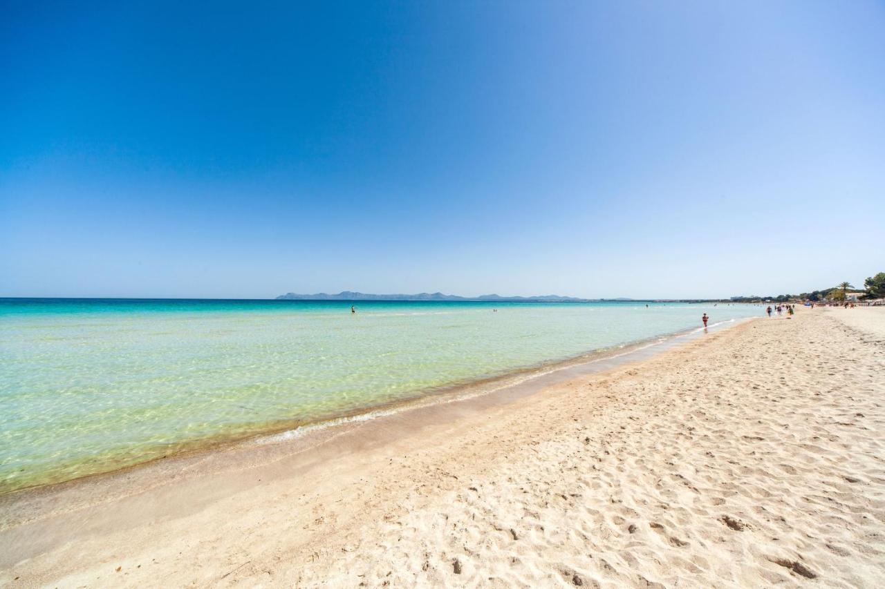Baldufa Alcudia (Mallorca)